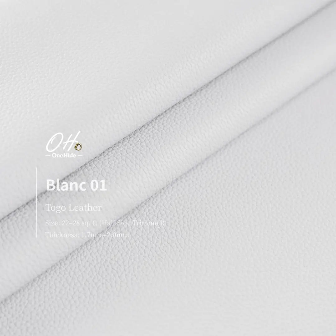 G012 Blanc 01 Togo Leather
