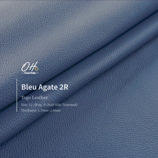 G029 Bleu Agate 2R Togo Leather