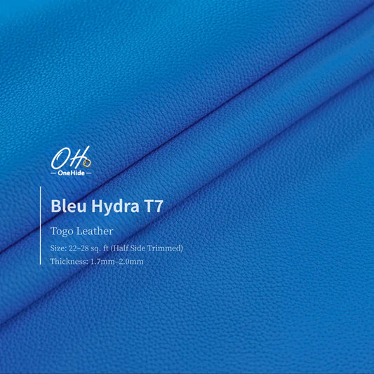 G034 Bleu Hydra T7 Togo Leather