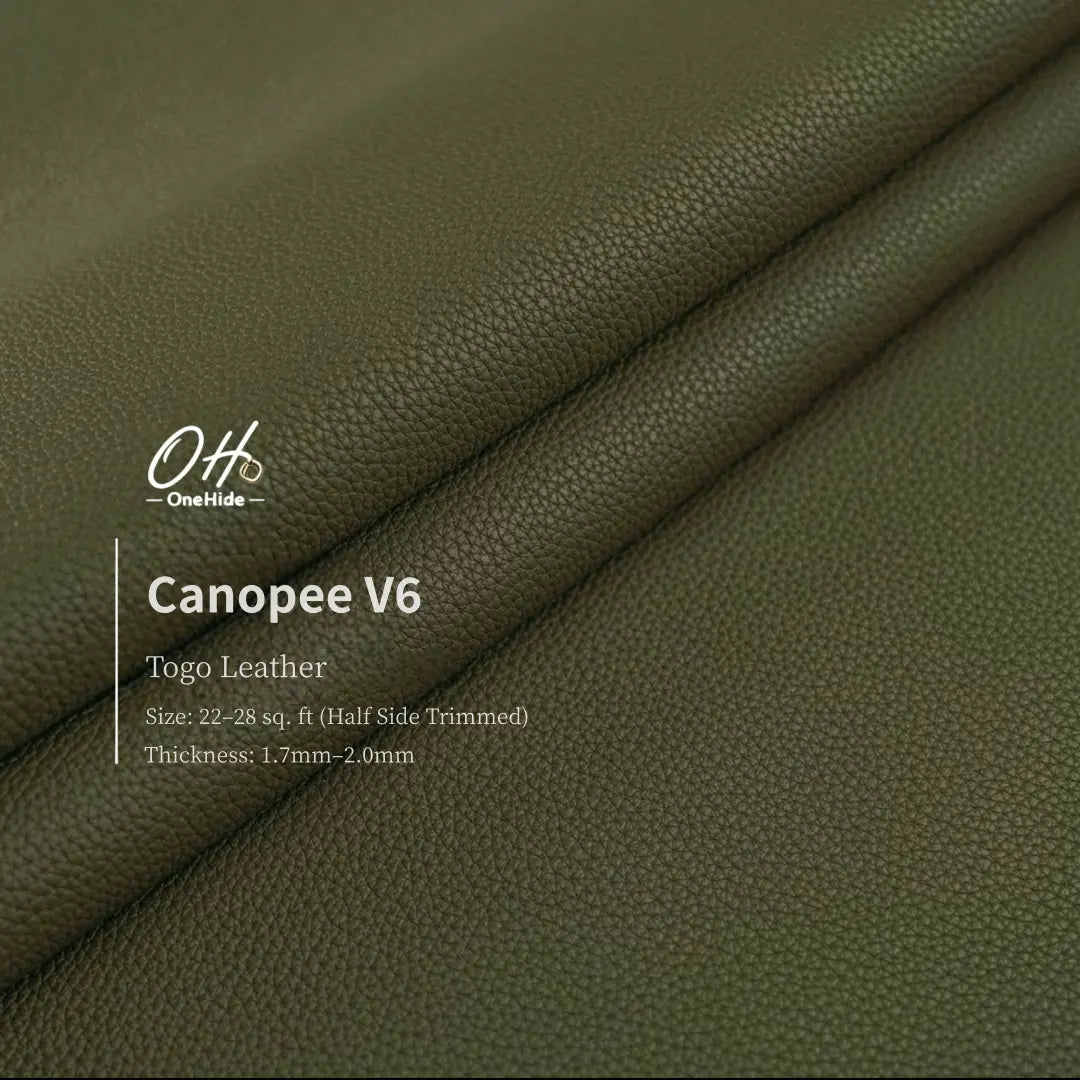 G043 Canopee V6 Togo Leather
