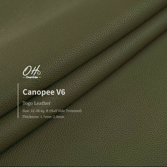 G043 Canopee V6 Togo Leather
